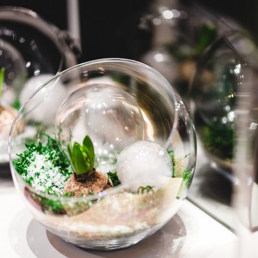 在线手机号接收